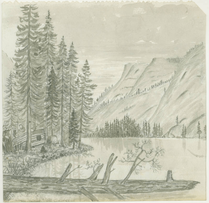871x848 our favorite john muir sketches - John Muir Drawings