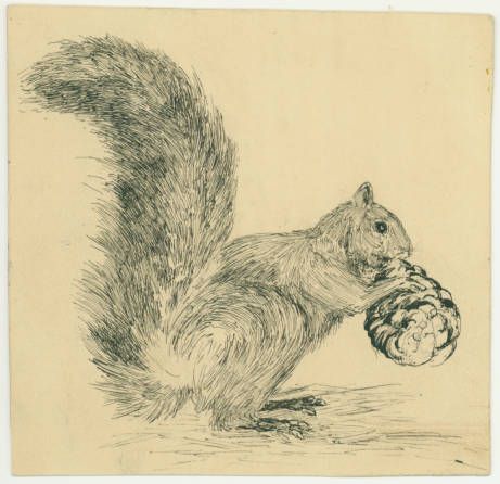John Muir Drawings at PaintingValley.com | Explore collection of John ...