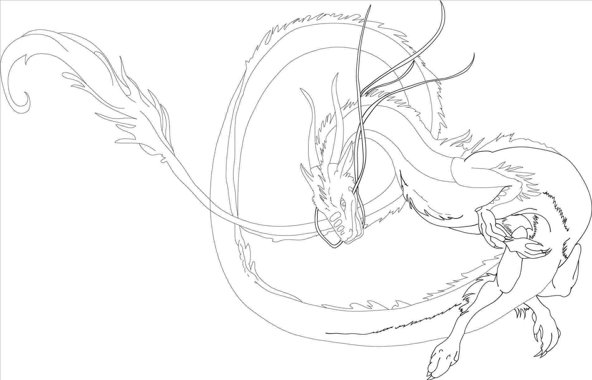 1900x1219 how simple drawings of a path to draw rocks john muir - John Muir Drawings