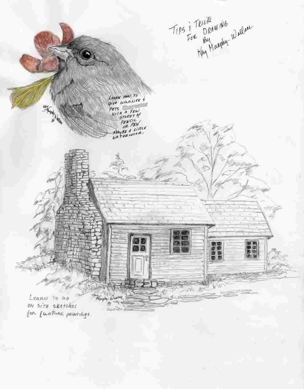 987x1264 how to draw rocks john muir lawsrhjohnmuirlawscom how tricks - John Muir Drawings