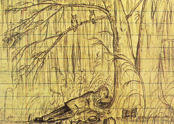 600x427 drawing america john muir's natural ability - John Muir Drawings