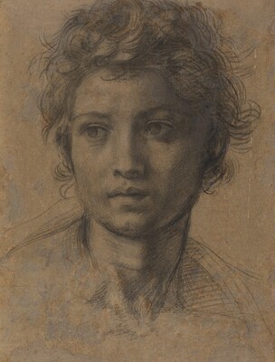 304x400 Head Of Saint John The Baptist - John The Baptist Drawing