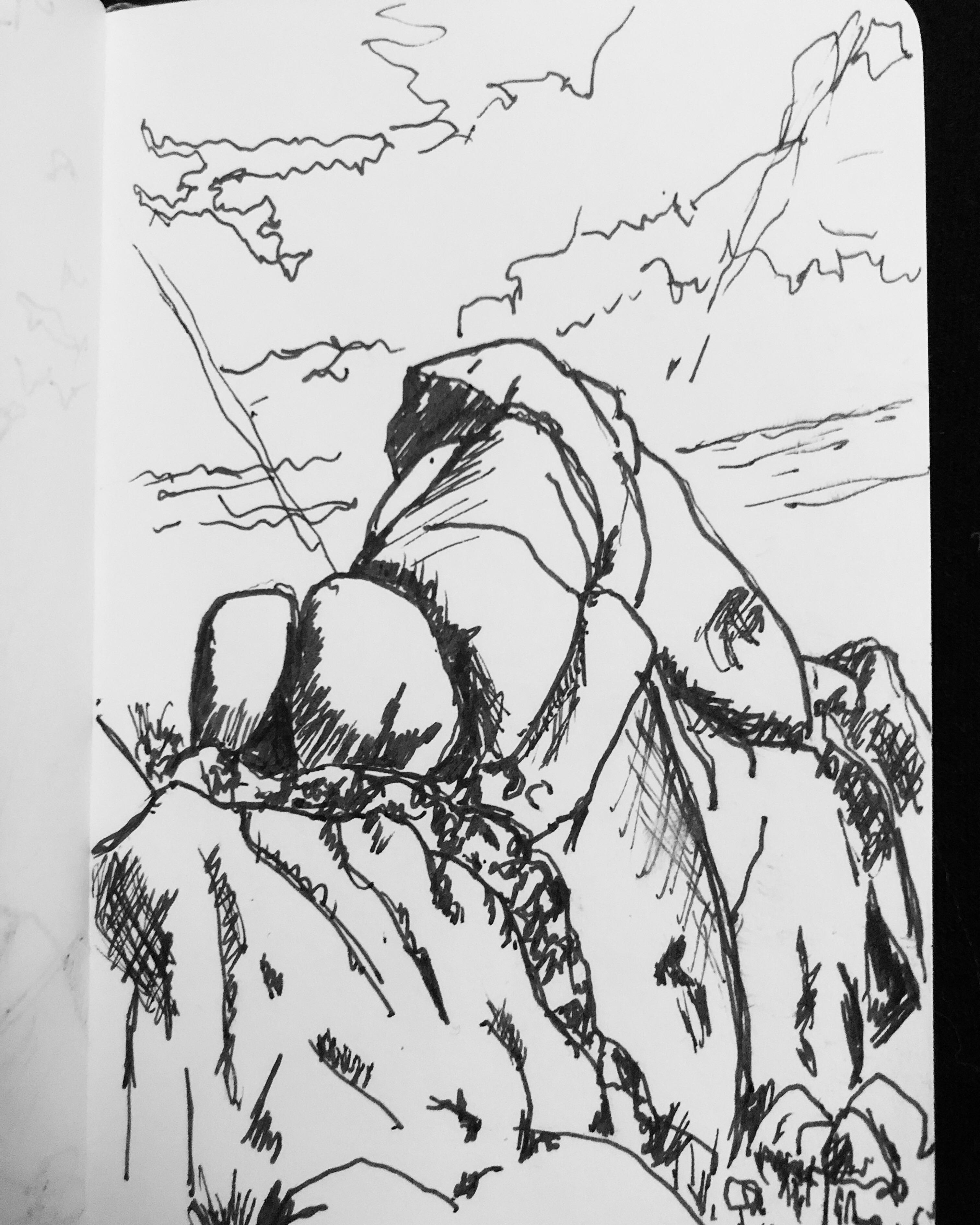 3024x3780 Large Marge - Joshua Tree Drawing