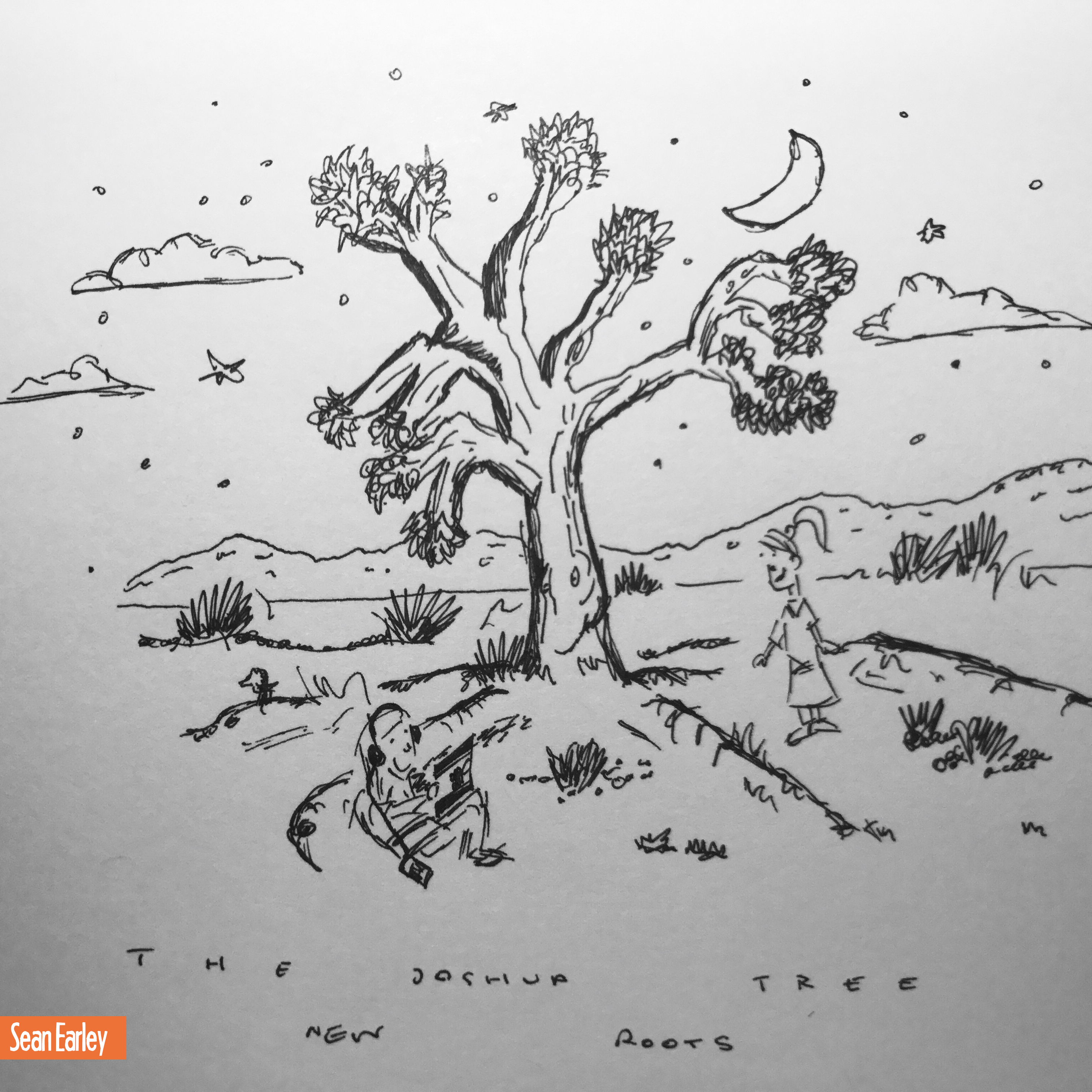 Joshua Tree Drawing at Explore collection of