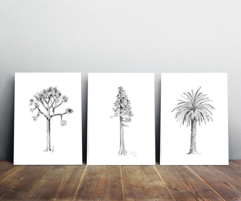 794x665 Tree Art Set Of Giclee Prints Joshua Tree Drawing Etsy - Joshua Tree Drawing