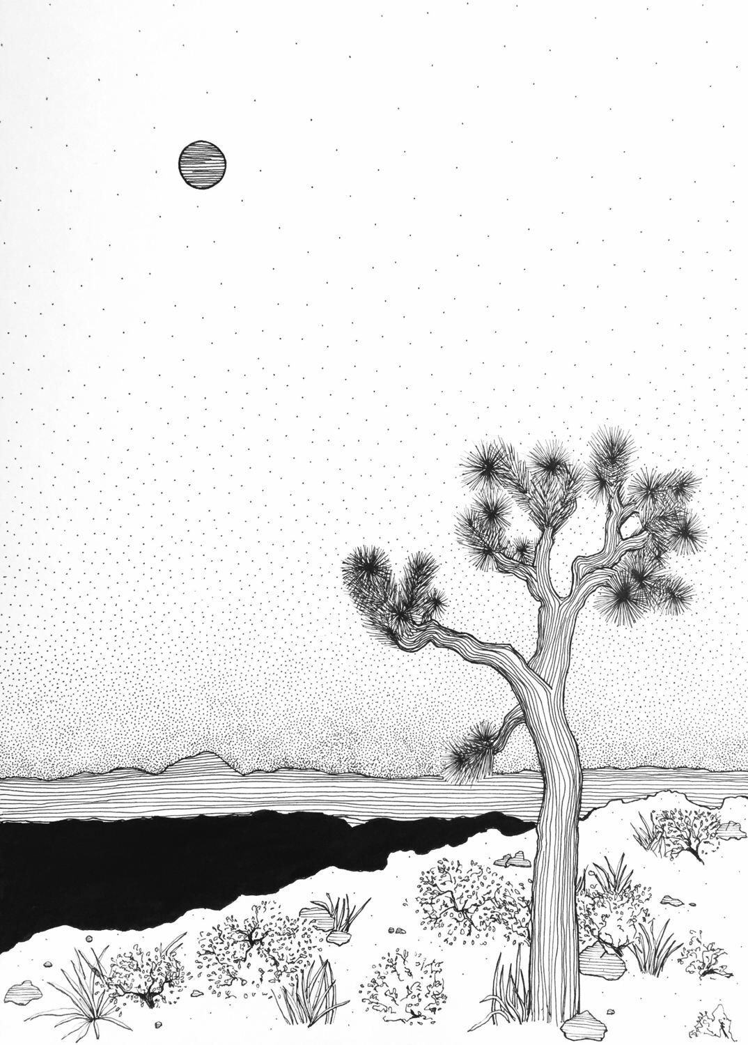1074x1500 Outdoor Explorer, Joshua Tree, Black And White Art, Line Drawing - Joshua Tree Drawing