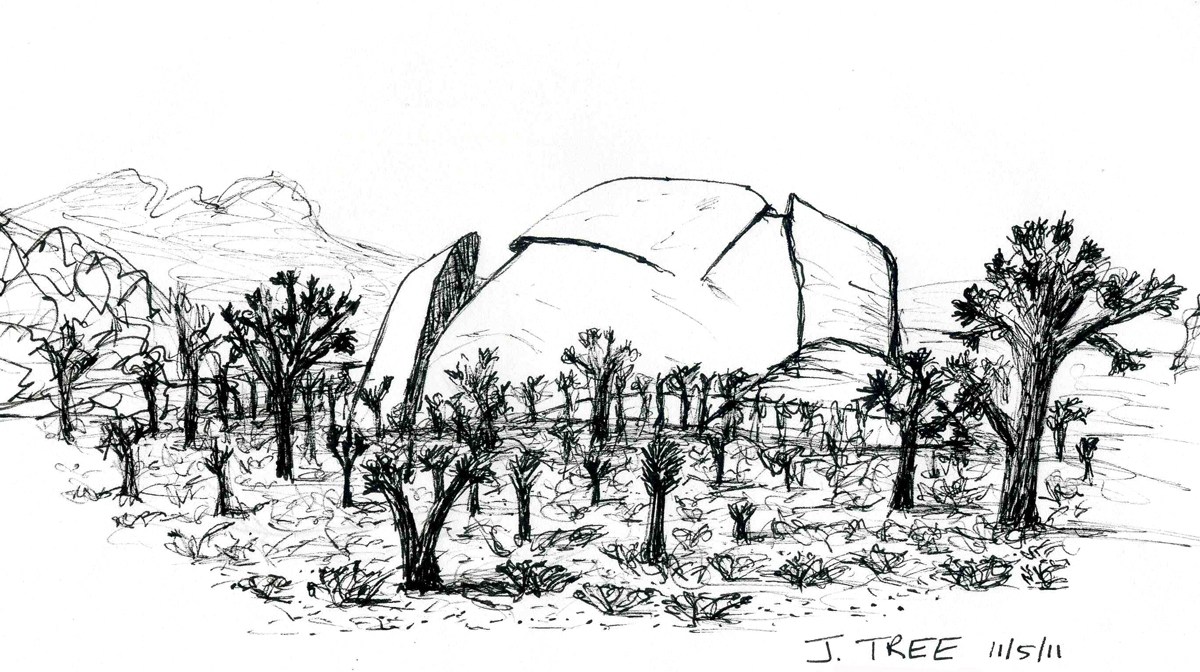 1200x672 Drystonegarden Joshua Tree - Joshua Tree Drawing