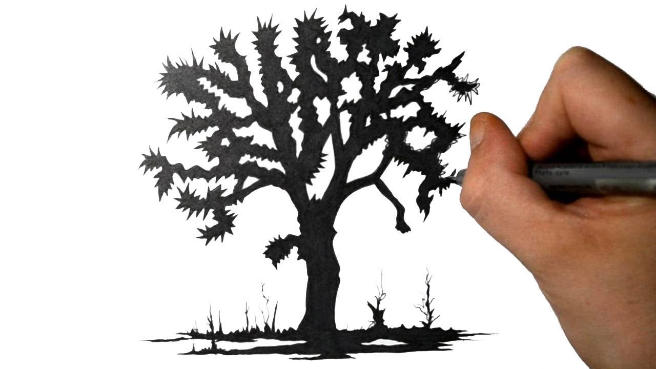 1280x720 How To Draw A Joshua Tree - Joshua Tree Drawing
