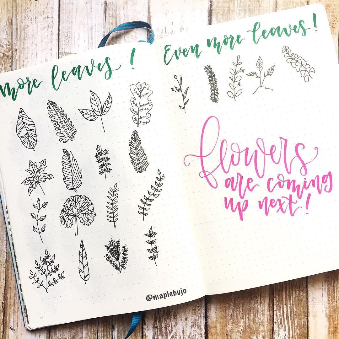 1080x1080 bullet journal drawing ideas, plant drawings cute - Journal Drawing Ideas