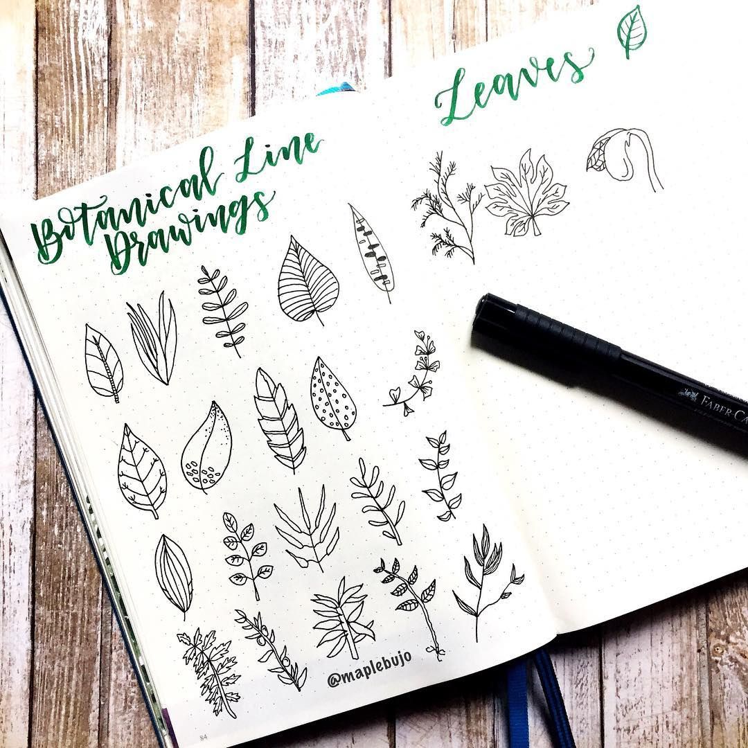 1080x1080 bullet journal drawing ideas, plant drawings - Journal Drawing Ideas
