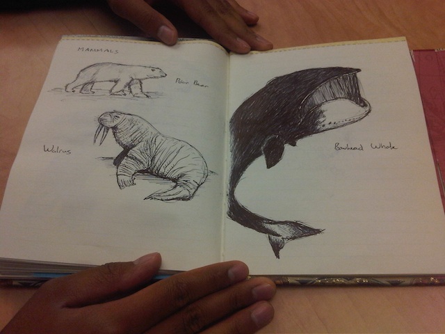 640x480 Marck's Arctic Journal Earth Rangers Wild Wire Blog - Journal Drawings