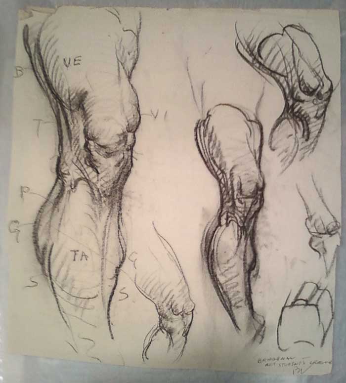 700x775 Gurney Journey Drawing On Models - Journey Drawing