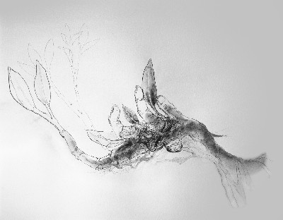 400x312 The Drawing Center - Journey Drawing