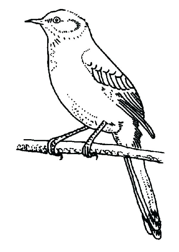 600x842 Judicial Branch Coloring Pages Teachers Coloring Pages Flowers Pdf - Judicial Branch Drawing