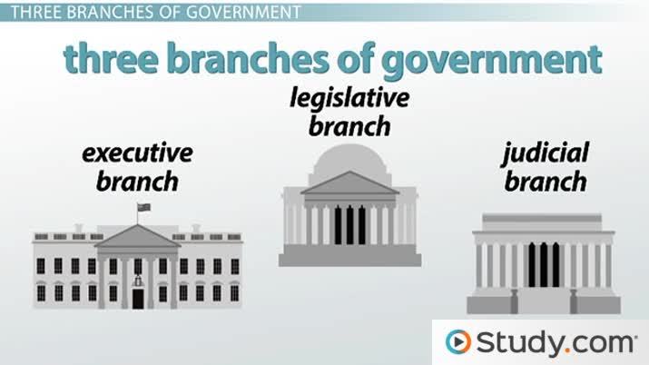 715x402 The Branches Of Government Executive, Legislative, Judicial - Judicial Branch Drawing