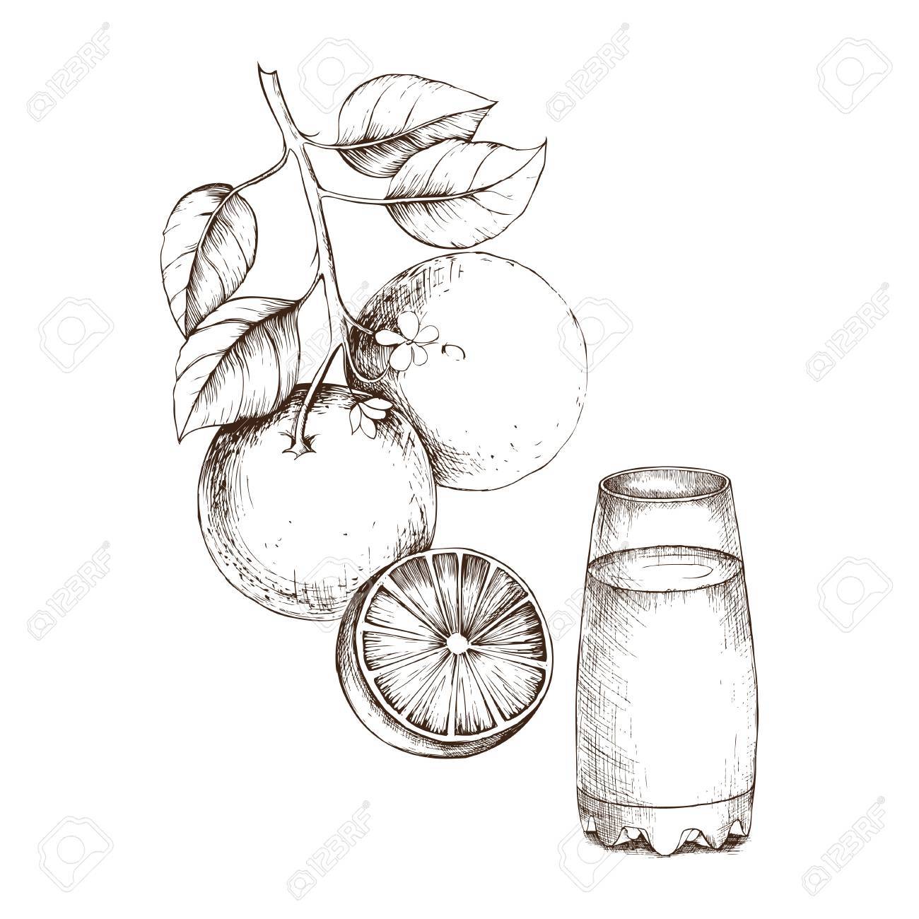 1300x1300 juice clipart glass drawing - Juice Drawing