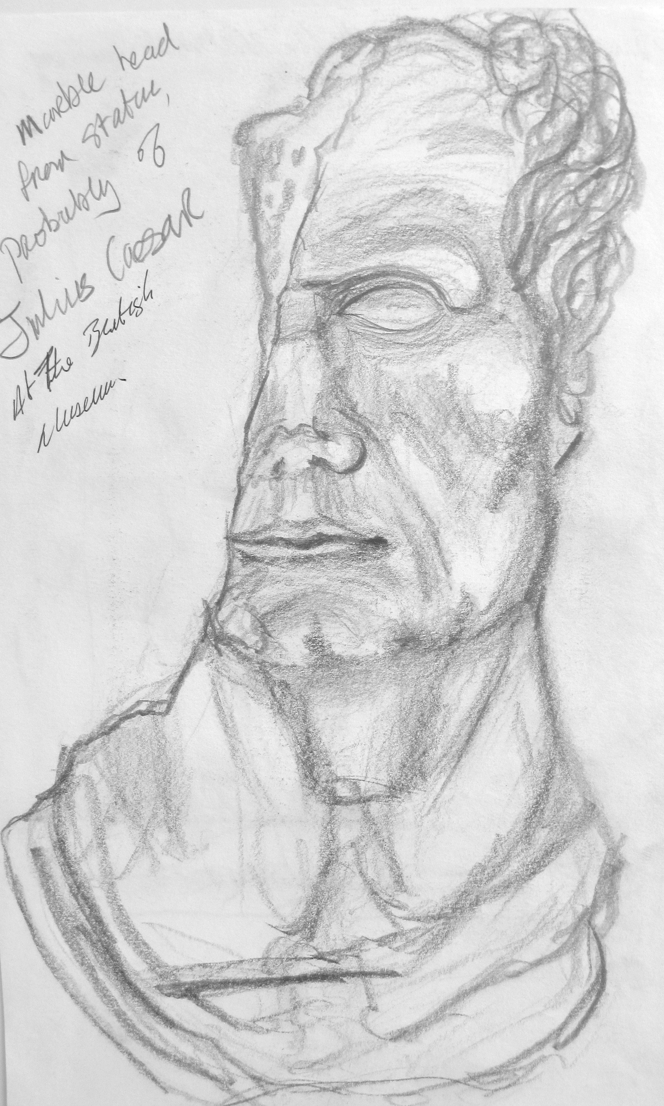 2201x3662 julius caesar marble bust drawing project on julius caesar - Julius Caesar Drawing