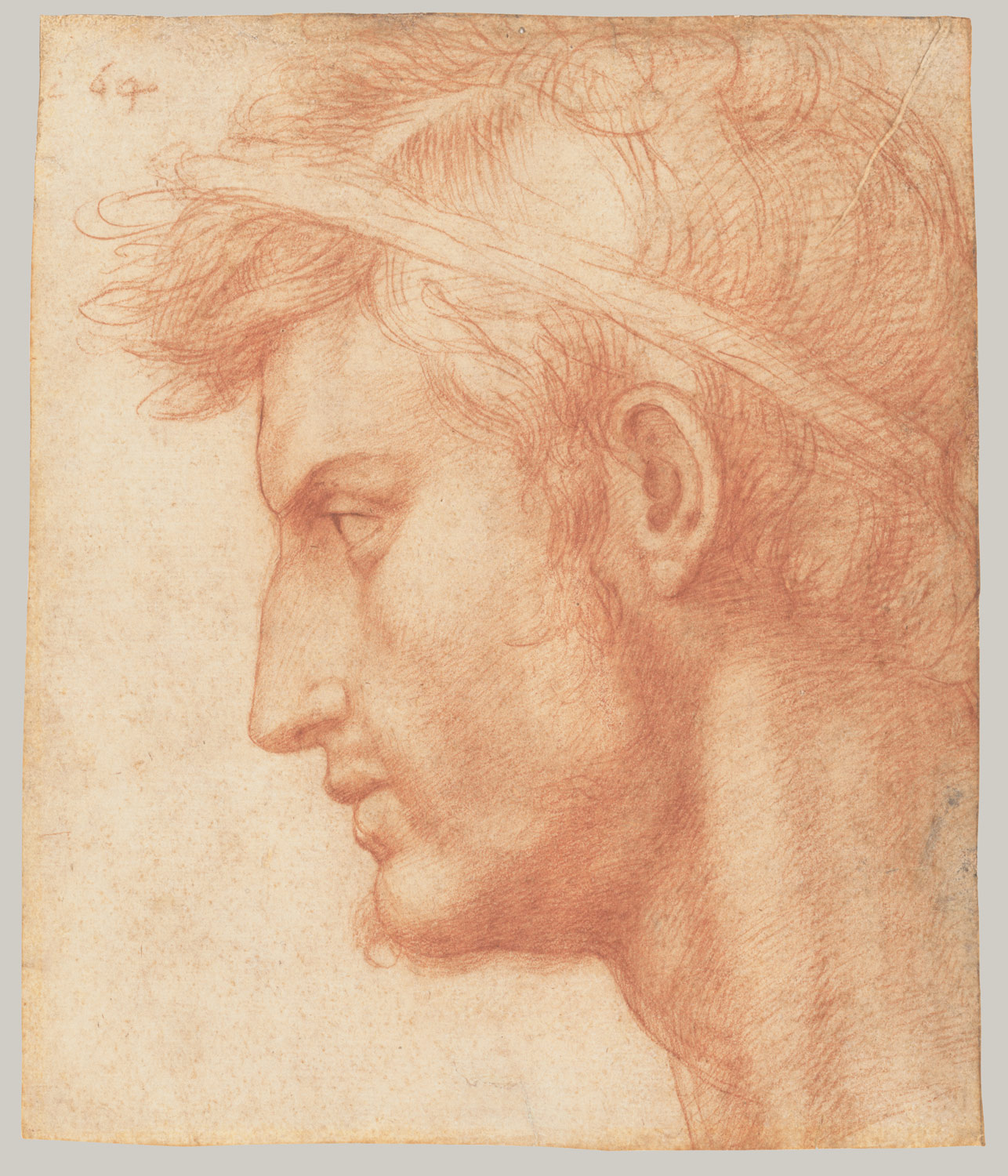 1286x1500 Study For The Head Of Julius Caesar Andrea Del Sarto - Julius Caesar Drawing