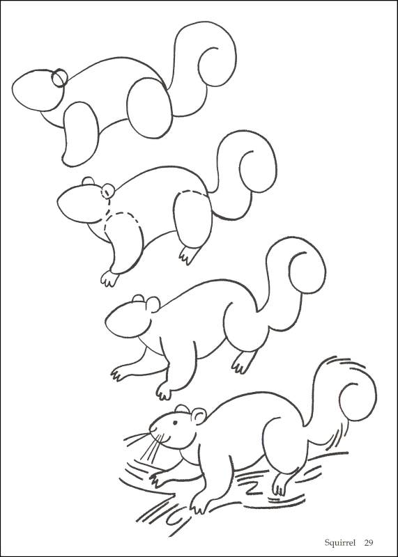 571x800 you can draw animals jumbo book - Jumbo Drawing