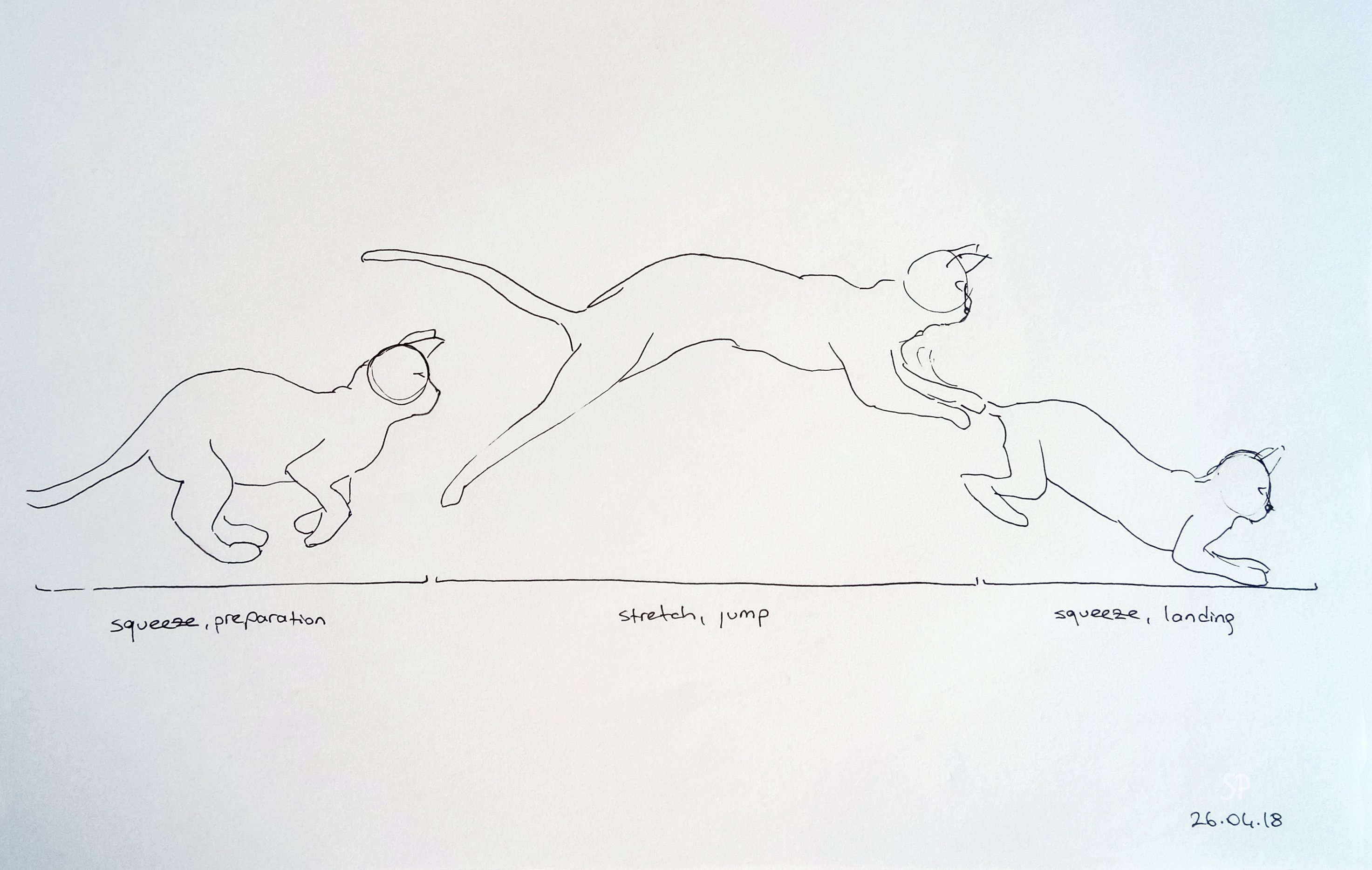 2945x1868 Animal In Motion Stretched Paw - Jump Drawing