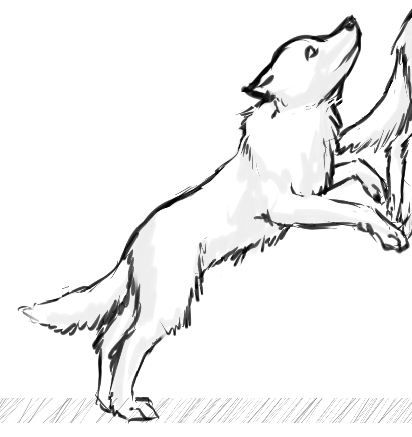 Нарисовать рисунок выскочка. Картинки собаки для срисовк. Собака в прыжке карандашом. Раскраска собака на задних лапах. Собаки в движении эскизы.