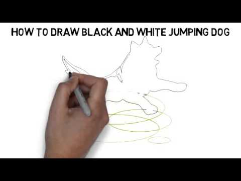 480x360 How To Draw Black And White Jumping Dog Quickly And Easily - Jumping Dog Drawing