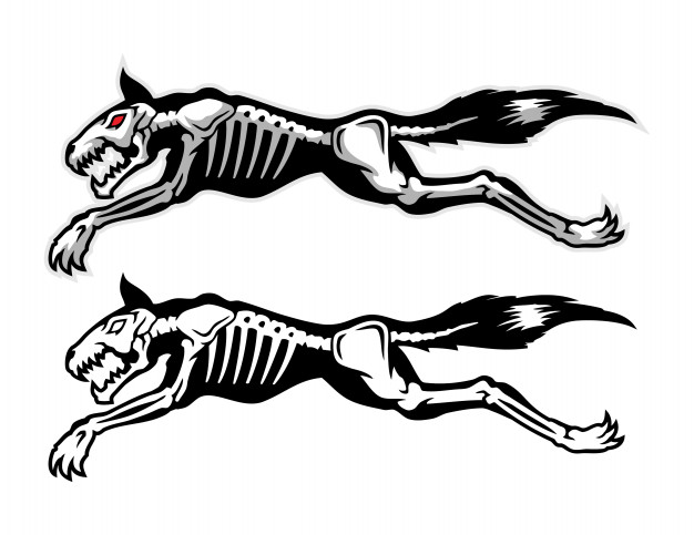 626x483 Jumping Dog Skeleton Vector Premium Download - Jumping Dog Drawing