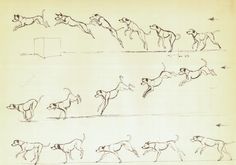 Jumping Dog Drawing at PaintingValley.com | Explore collection of ...