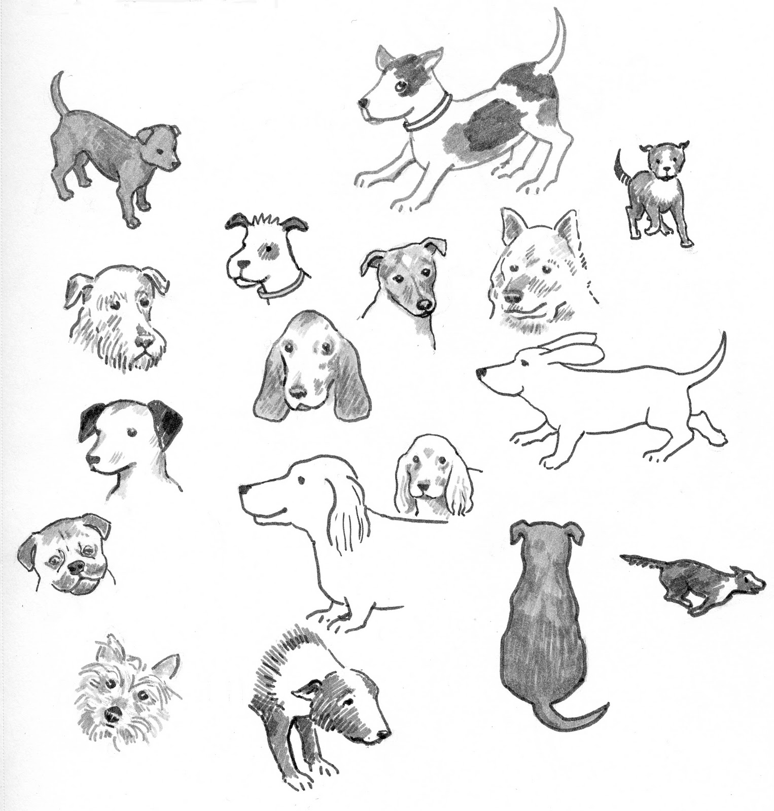 1526x1600 jumping in puddles - Jumping Dog Drawing