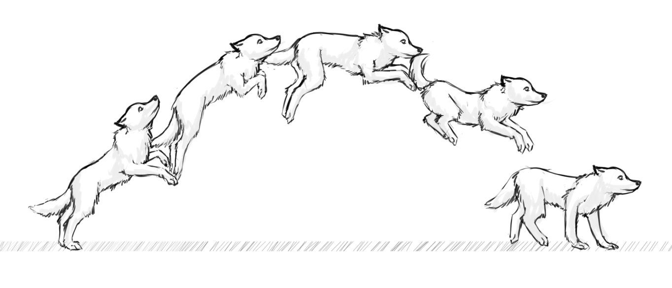1364x585 midnight jumping dog, dogs, drawing tips - Jumping Dog Drawing