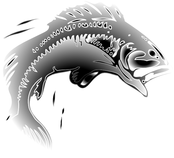 600x548 Jumping Fish Clip Art - Jumping Fish Drawing