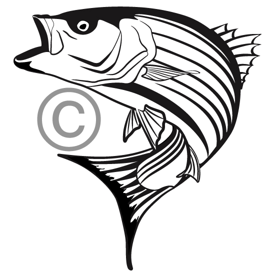 550x550 Jumping Fish Drawing - Jumping Fish Drawing
