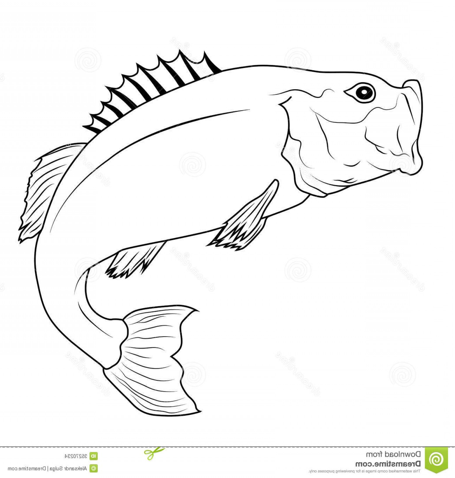 1560x1639 Stock Images Jumping Fish Bass Outline Illustration Image Soidergi - Jumping Fish Drawing