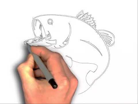 480x360 How To Draw A Fish Jumping Out Of Water - Jumping Fish Drawing