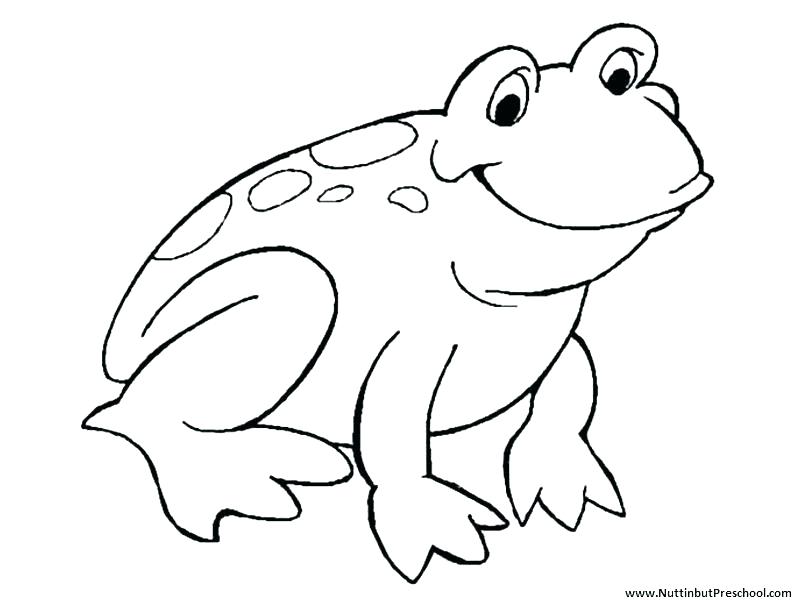 800x600 Jumping Frog Coloring - Jumping Frog Drawing