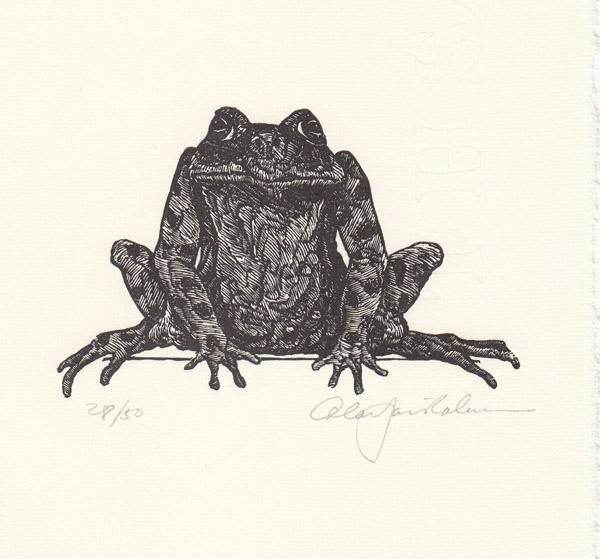 Jumping Frog Drawing at PaintingValley.com | Explore collection of ...