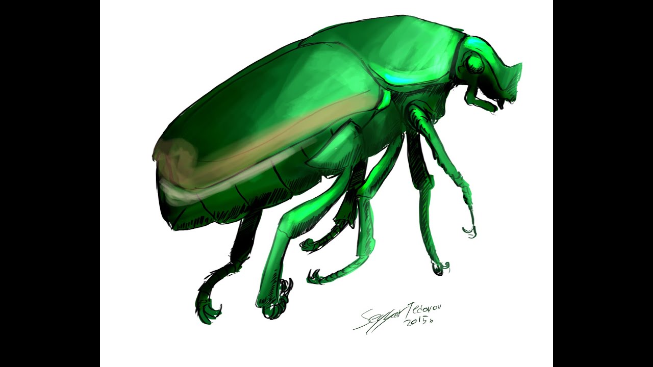 1280x720 How To Draw A Bug June Bug - June Bug Drawing