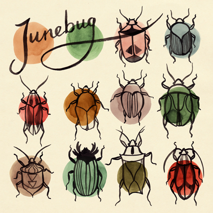 425x425 Junebug Album Cover The Illustranger - June Bug Drawing