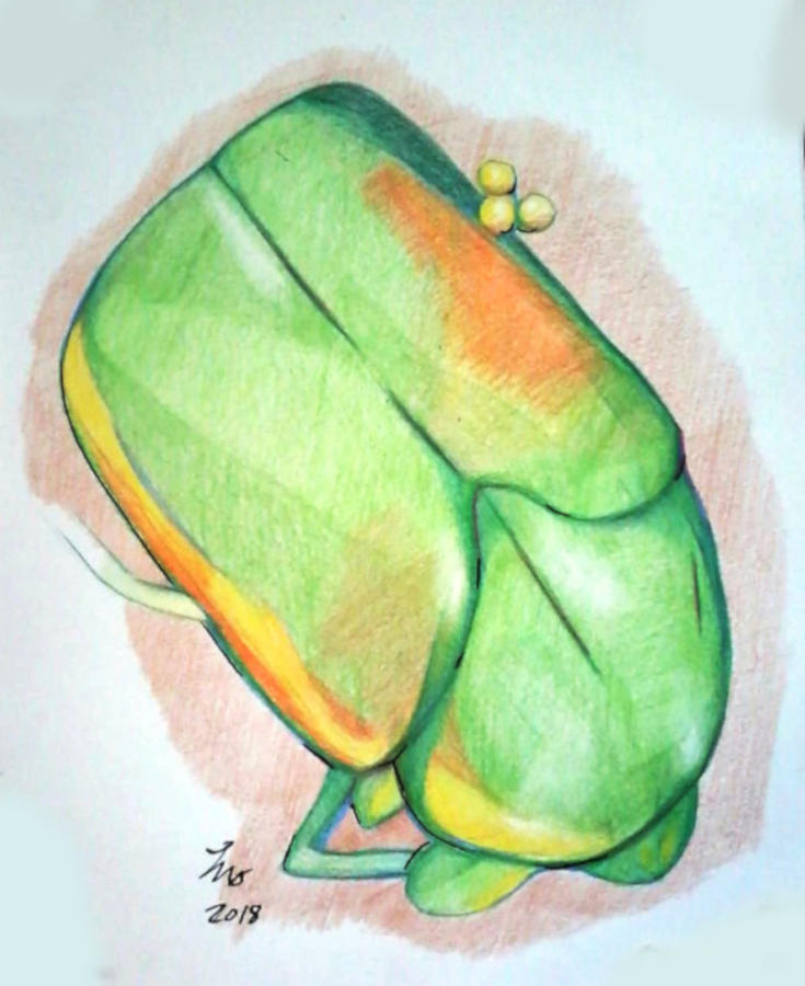 735x900 June Bug Drawing - June Bug Drawing