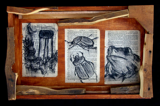 676x450 Junebug Night Pen And Ink Drawing Riverson Fine Art - June Bug Drawing