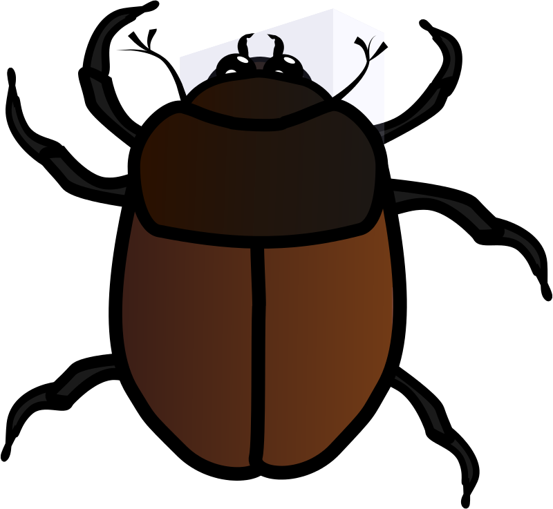 800x737 Free Clipart June Bug Jpneok - June Bug Drawing