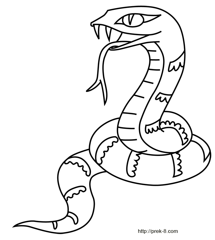 700x779 Jungle Animals Coloring Pages, Wild Animals Coloring Book Cliparts - Jungle Animals Drawing