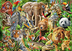 300x214 Animal Mix Drawing - Jungle Animals Drawing
