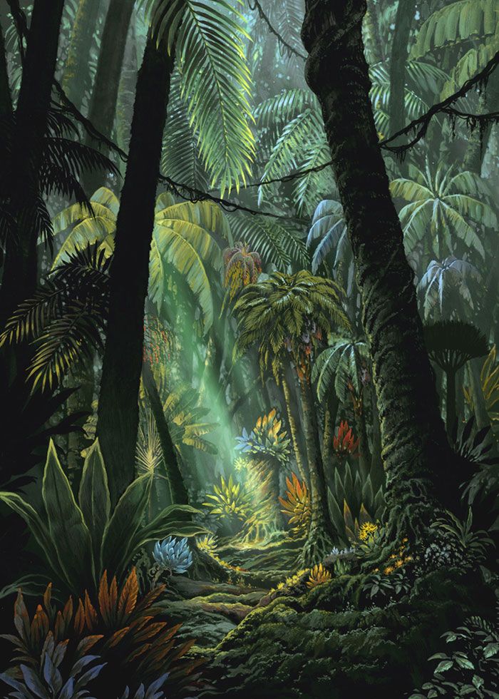 700x980 etrian odyssey - Jungle Background Drawing