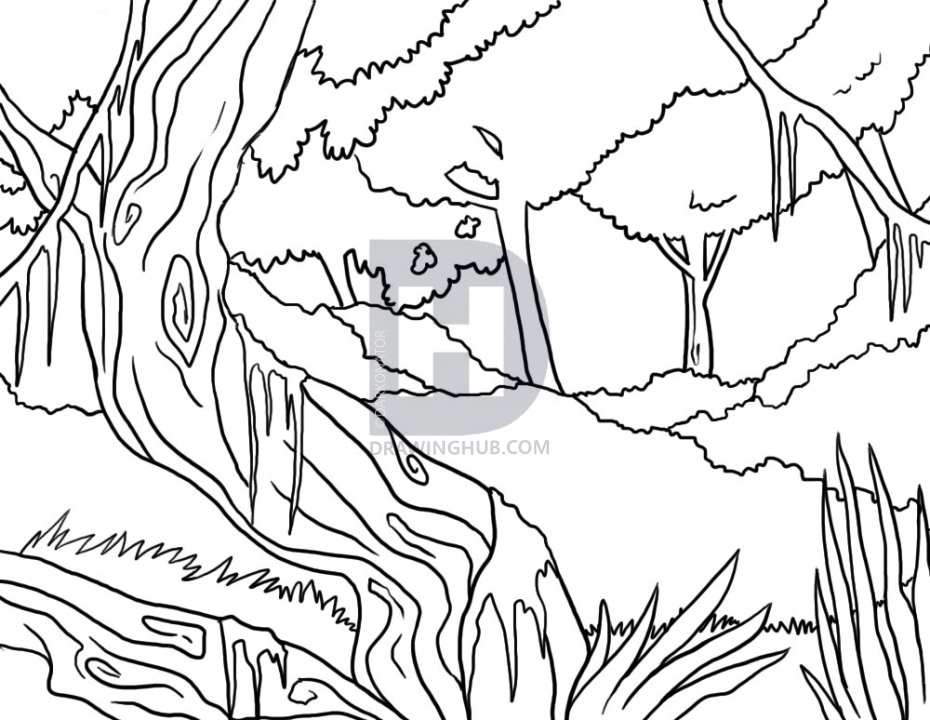 930x720 How To Draw A Jungle, Step - Jungle Background Drawing