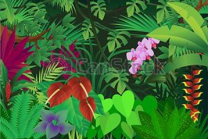 300x200 jungle background drawing background download - Jungle Background Drawing