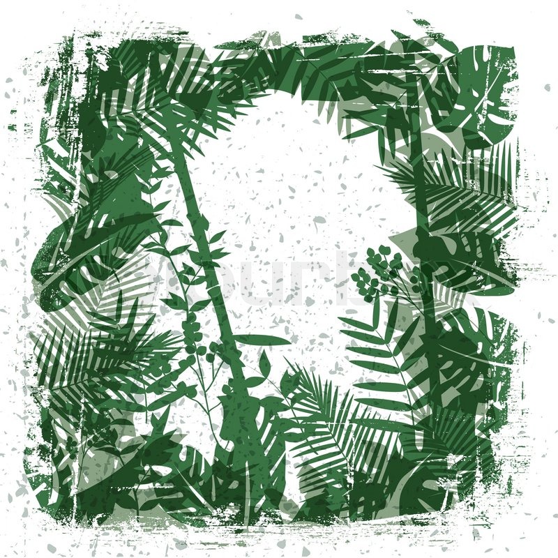 800x800 leaves and jungle background with stock vector colourbox - Jungle Background Drawing