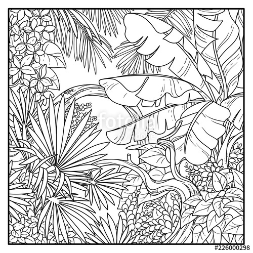 500x500 Wild Jungle With Big Banana Palm Leaves Black Contour Line Drawing - Jungle Background Drawing