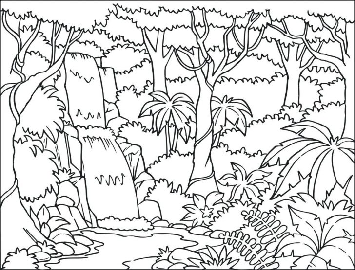 728x555 Rainforest Drawing Scene For Free Download - Jungle Background Drawing