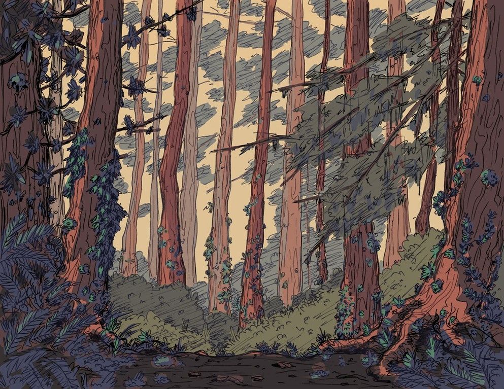 993x767 A Forest Background For A Project I'm Working On Drawing - Jungle Background Drawing